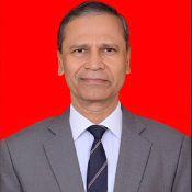 Brig. (Retd.) Vasant Pawar
