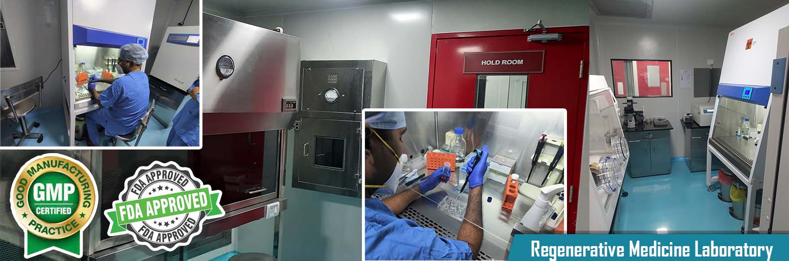 Dental Lab