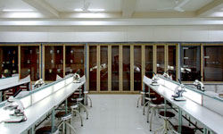 Oral Pathology Laboratory